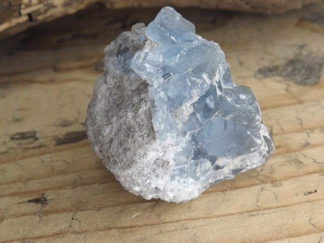 celestyn * Madagaskar