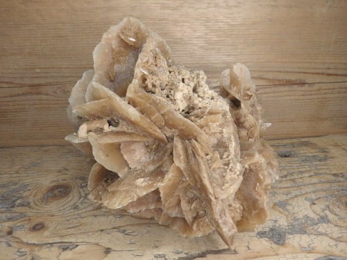 róża pustyni Tunezja