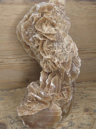 róża pustyni Tunezja