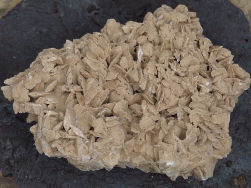 róża pustyni Tunezja