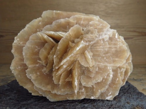 róża pustyni Tunezja