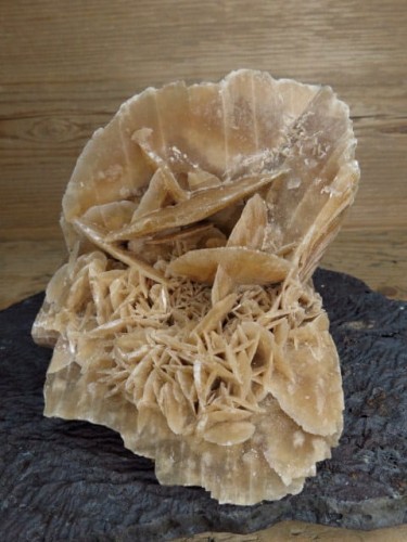 róża pustyni Tunezja