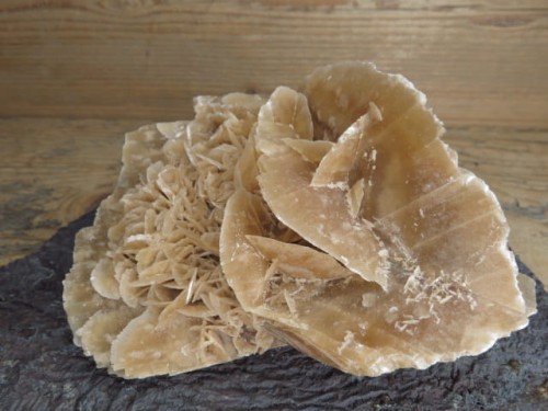 róża pustyni Tunezja