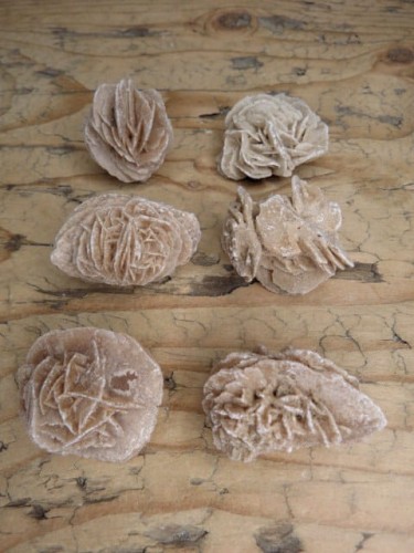 róża pustyni Tunezja