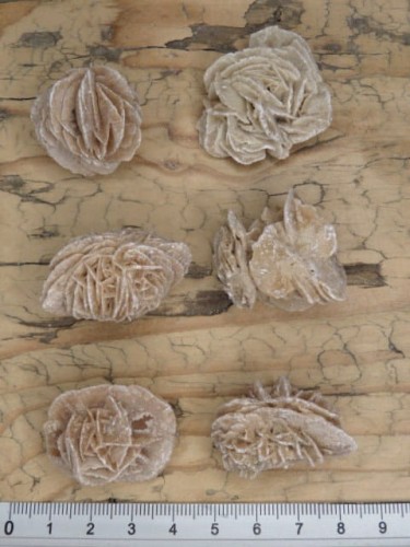 róża pustyni Tunezja