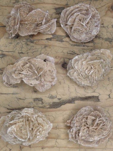 róża pustyni Tunezja