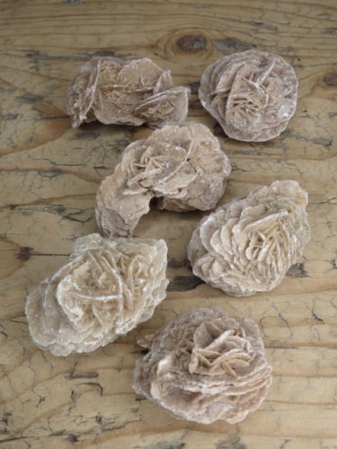 róża pustyni Tunezja