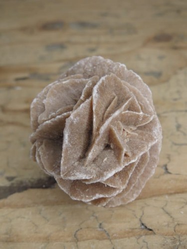 róża pustyni Tunezja