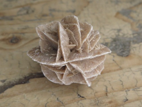 róża pustyni Tunezja