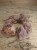 granat hessonit Madagaskar