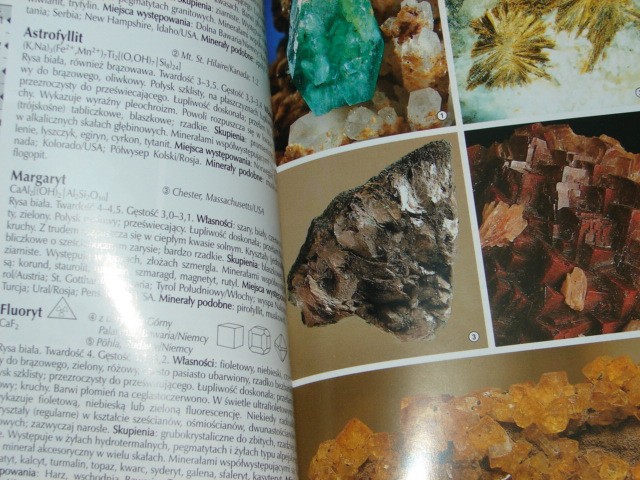 Minerały świata. Z systemem szybkiego oznaczania