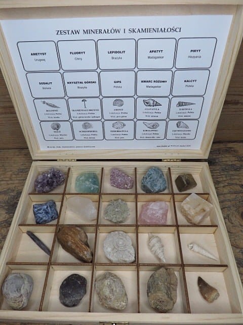 Kolekcja minerałów i skamieniałości