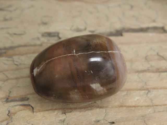 skamieniałe drewno * Madagaskar