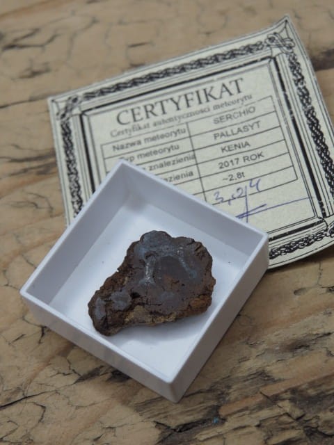 Meteoryt pallasyt * Serchio