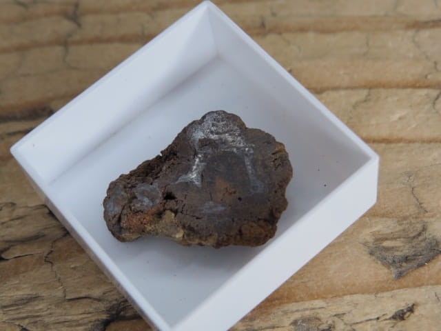 Meteoryt pallasyt * Serchio