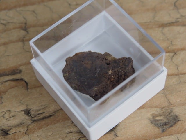 Meteoryt pallasyt * Serchio