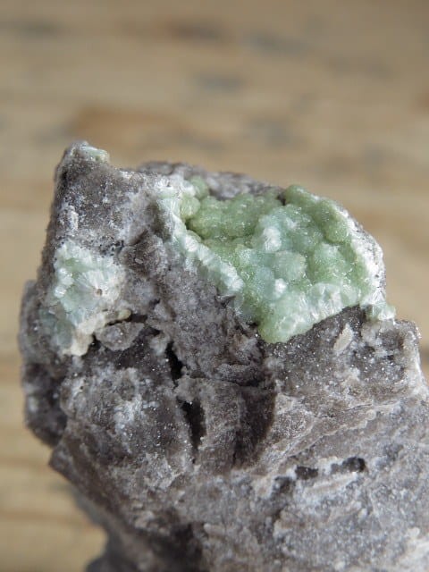 waryscyt Polska - FLUORESCENCJA