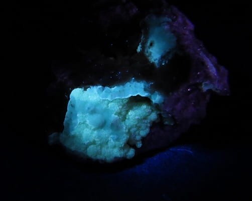 waryscyt Polska - FLUORESCENCJA