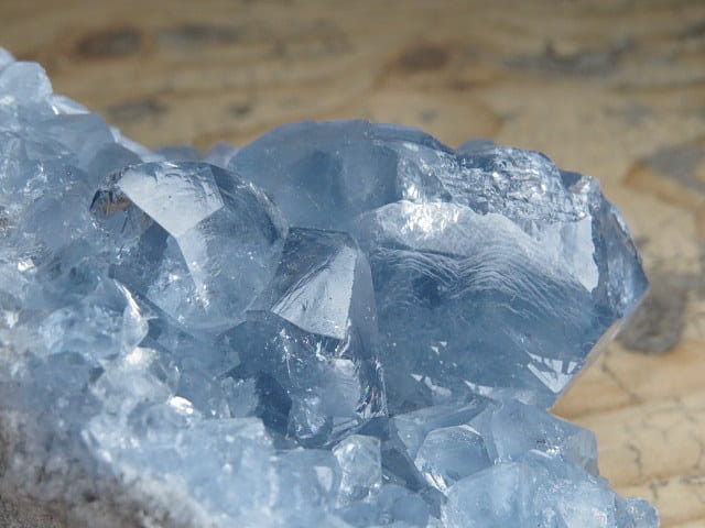 celestyn * Madagaskar