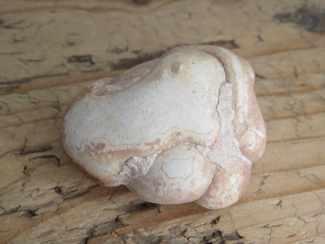 menilit - konkrecja chalcedonowo - opalowa * Maroko * Kamień Bogini