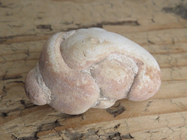 menilit - konkrecja chalcedonowo - opalowa * Maroko * Kamień Bogini