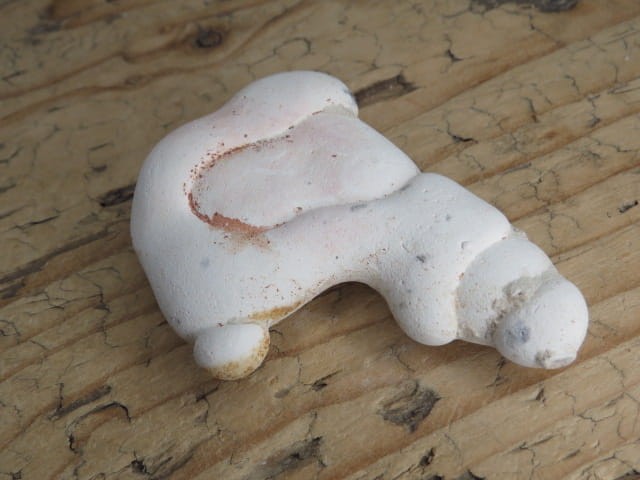 menilit - konkrecja chalcedonowo - opalowa * Maroko * Kamień Bogini