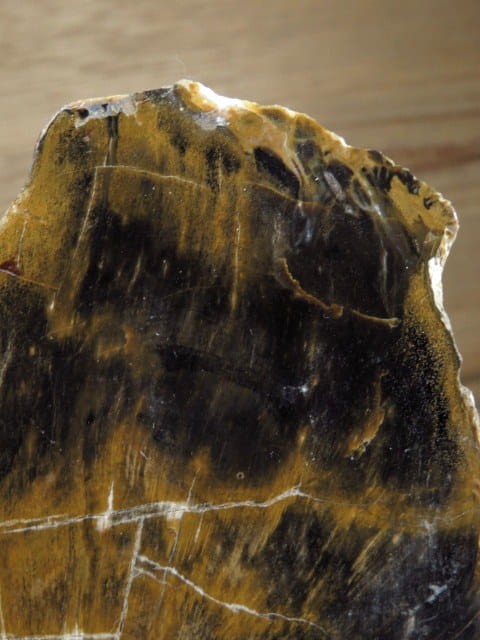 skamieniałe drewno poler - Dolina Bobru Polska