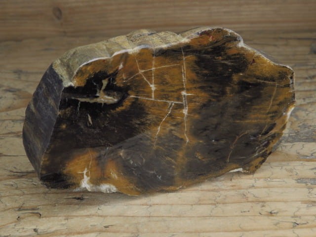 skamieniałe drewno poler - Dolina Bobru Polska