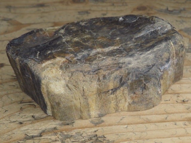 skamieniałe drewno poler - Dolina Bobru Polska