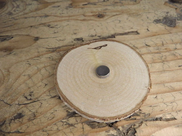 Magnes „Czaszka jelenia” – dzika natura zaklęta w drewnie