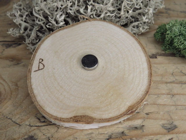 Magnes Kryształ Górski – siła Ziemi wypalona w drewnie