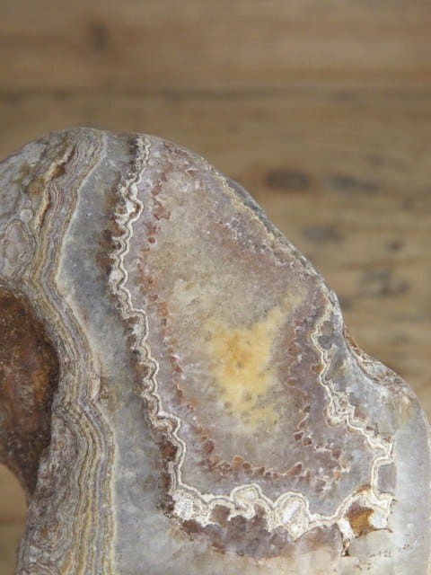 agat rzeczny Brazylia