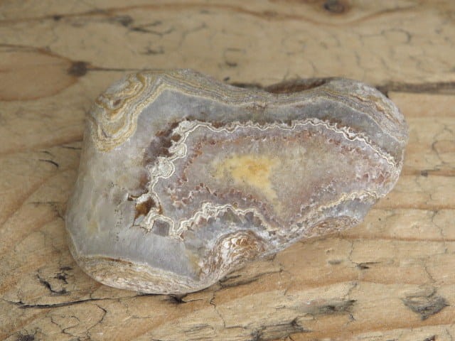 agat rzeczny Brazylia