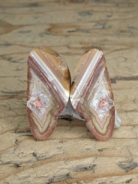 agat rzeczny Brazylia