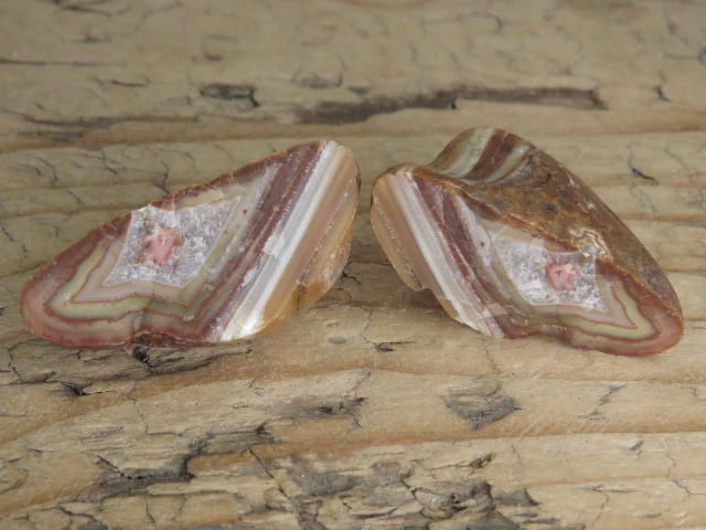 agat rzeczny Brazylia