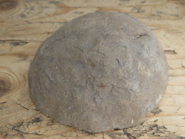 septaria sferosyderyt - syderyt ilasty - Polska - połówka