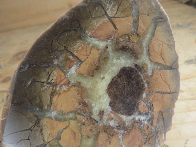 septaria sferosyderyt - syderyt ilasty - Polska - połówka