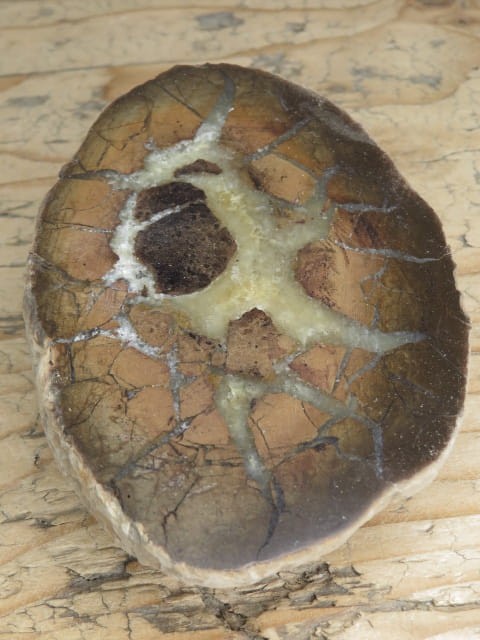 septaria sferosyderyt - syderyt ilasty - Polska - połówka