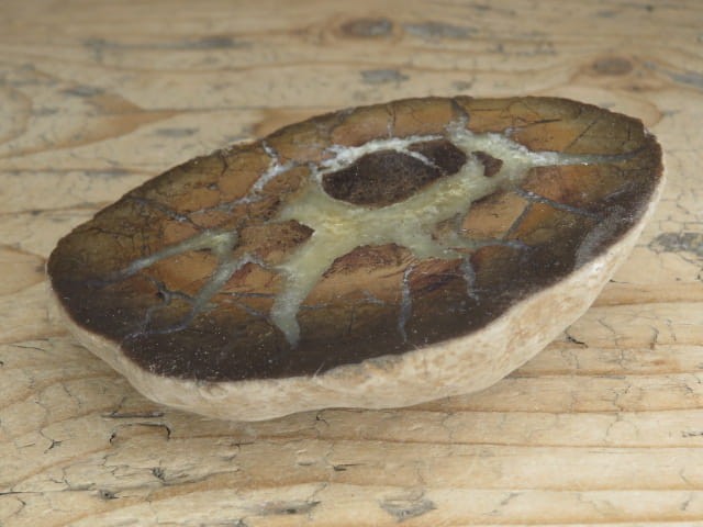 septaria sferosyderyt - syderyt ilasty - Polska - połówka