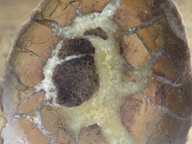 septaria sferosyderyt - syderyt ilasty - Polska - połówka