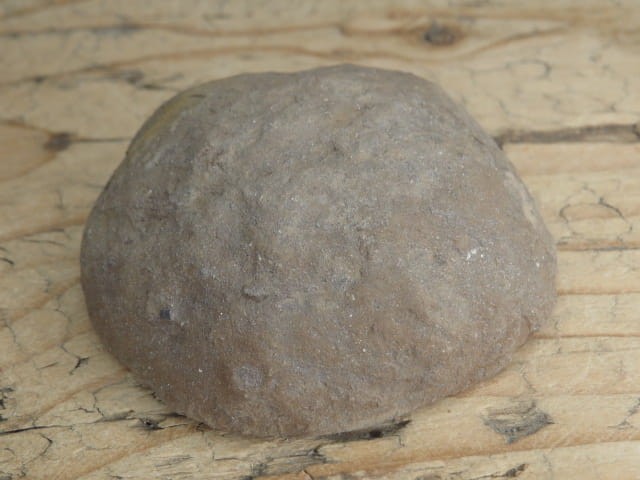 septaria sferosyderyt - syderyt ilasty - Polska - połówka