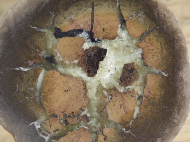 septaria sferosyderyt - syderyt ilasty - Polska - połówka