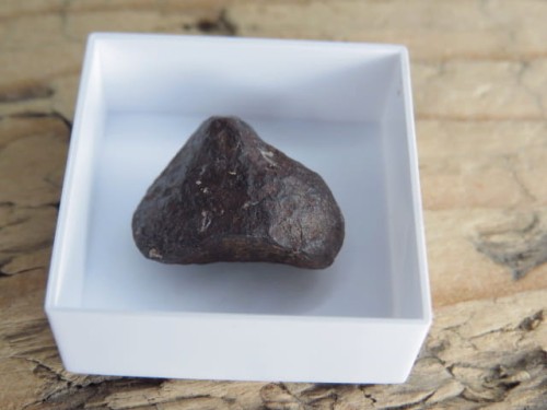 Meteoryt żelazny Mundrabilla