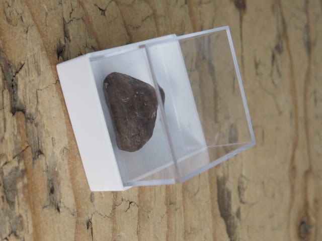 Meteoryt żelazny Mundrabilla