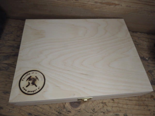 Zestaw skamieniałości Polski