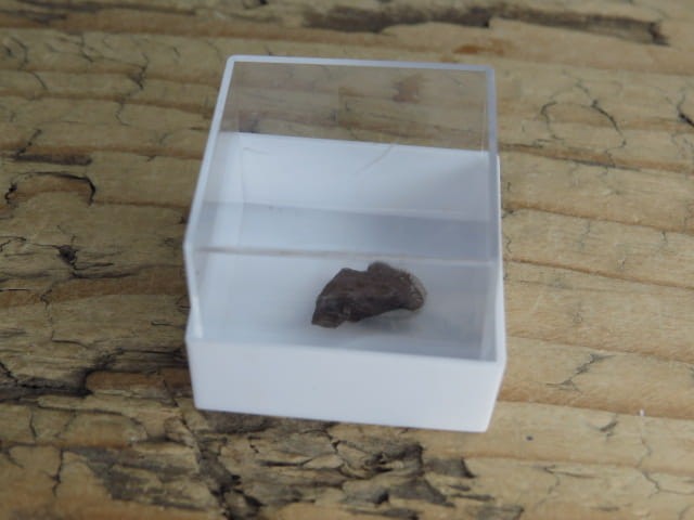 Meteoryt żelazny * SIKHOTE-ALIN