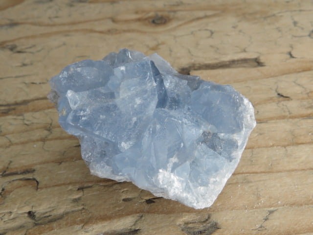 celestyn * Madagaskar