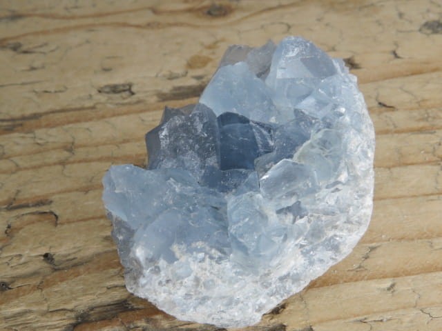 celestyn * Madagaskar