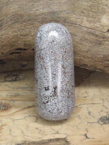 Kość dinozaura * Atlasaurus