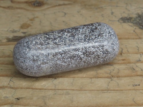 Kość dinozaura * Atlasaurus